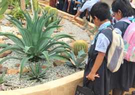 Field Trip