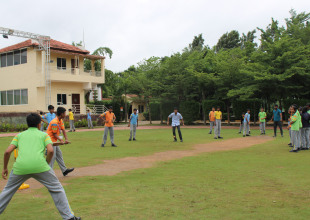 Cricket-Pic